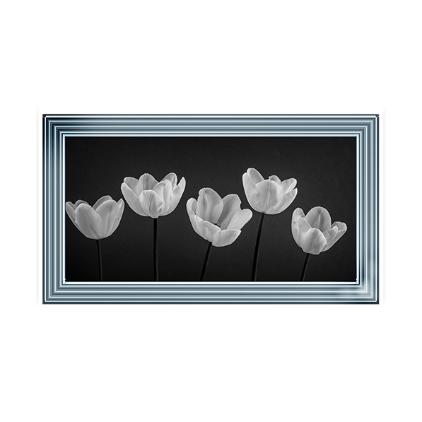 Five Tulips in a row
