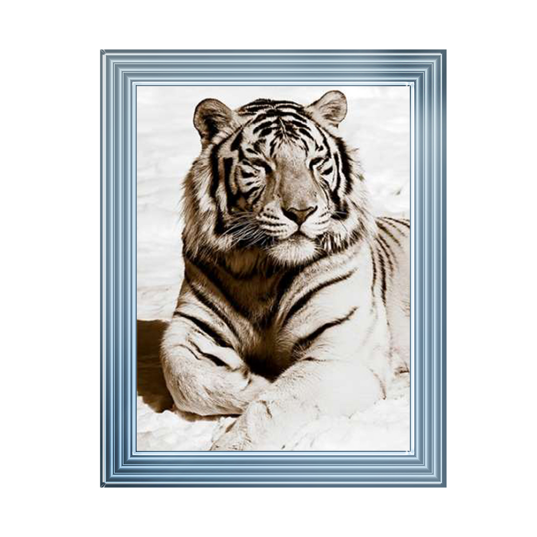 AN043 African Animals Series - Tiger A