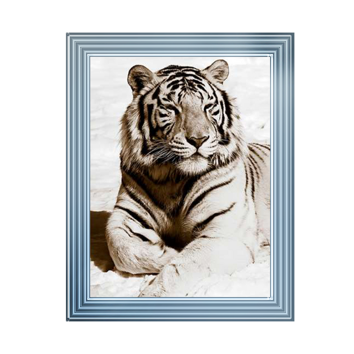 AN043 African Animals Series - Tiger A