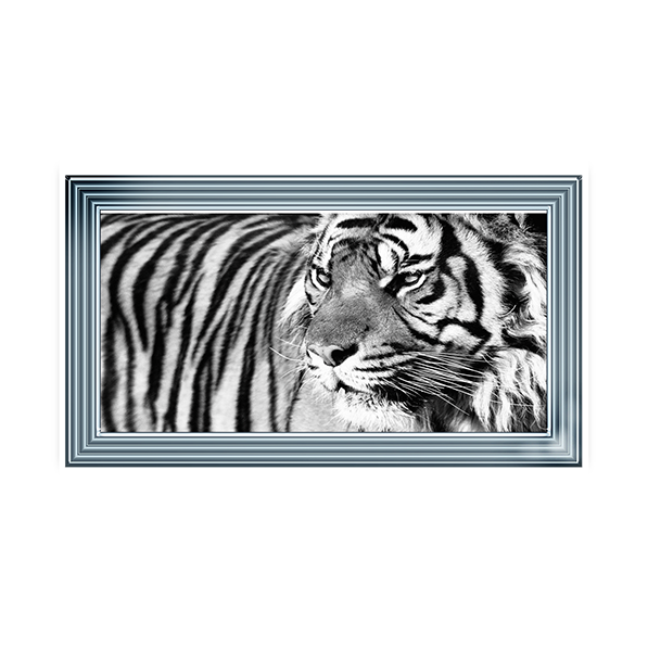 Tiger Eyes