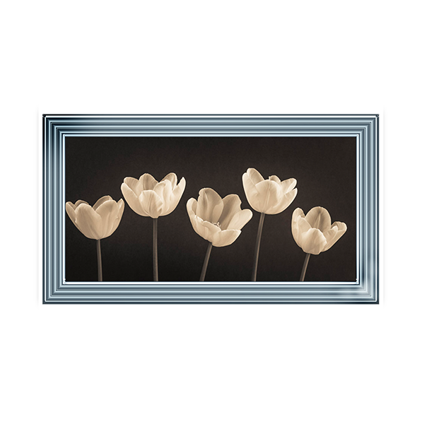 Five Tulips in a row