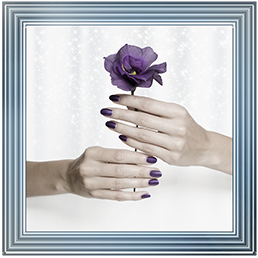 Purple Rose