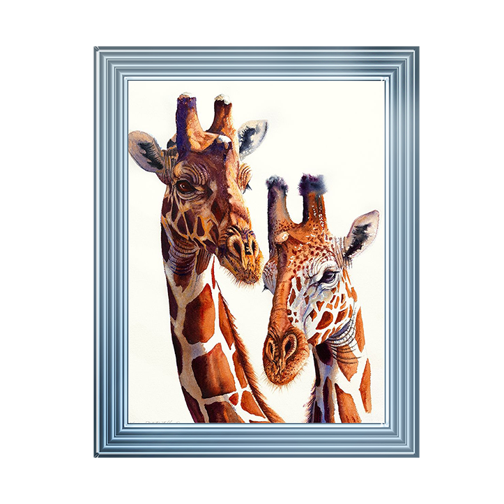 Safari Giraffes