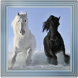Salt And Pepper