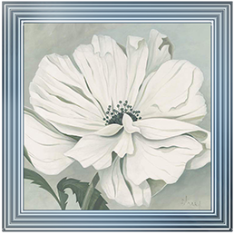 White poppy