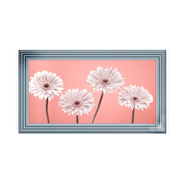 Four Gerberas Nude/White