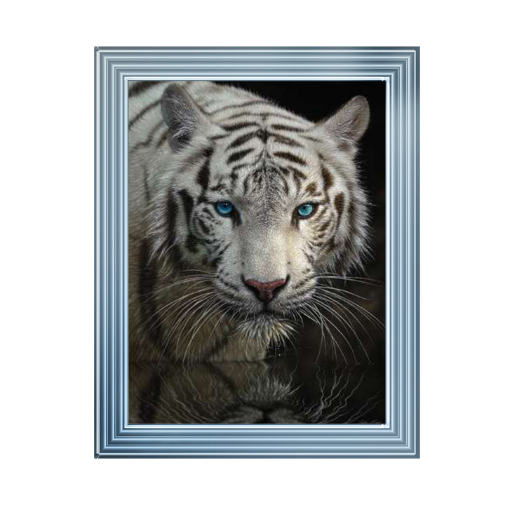 White Tiger - Into the Light