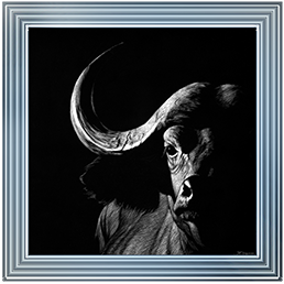 Wildlife Scratchboards VIII