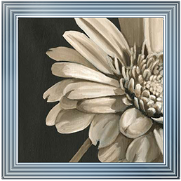 FL038 Classical Blooms IV