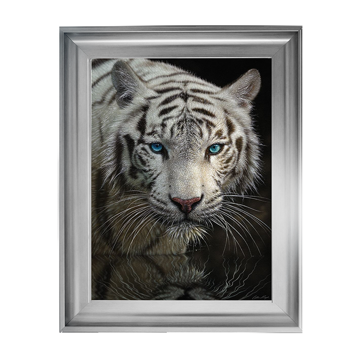 White Tiger - Into the Light