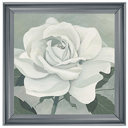 FL023 Rose One