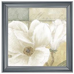FL022 Aqua magnolia II