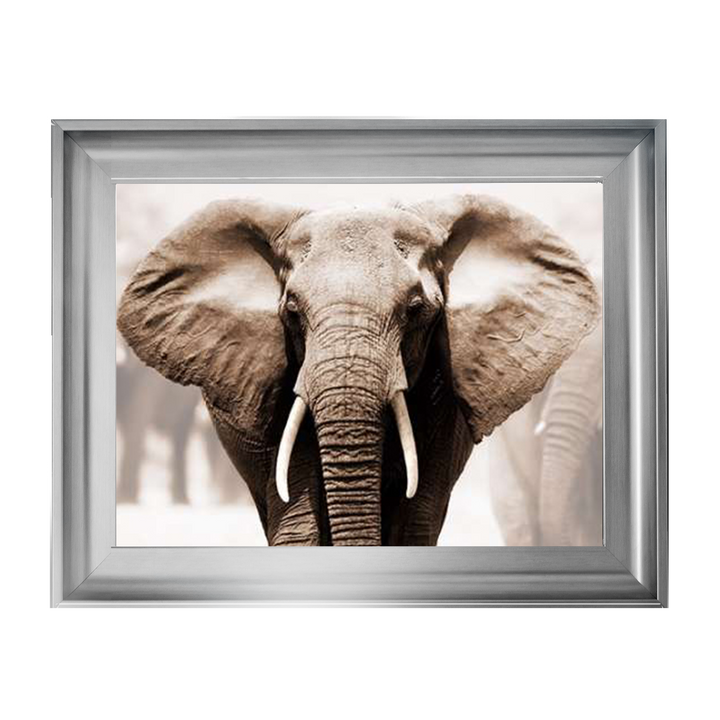 AN071 African Elephant