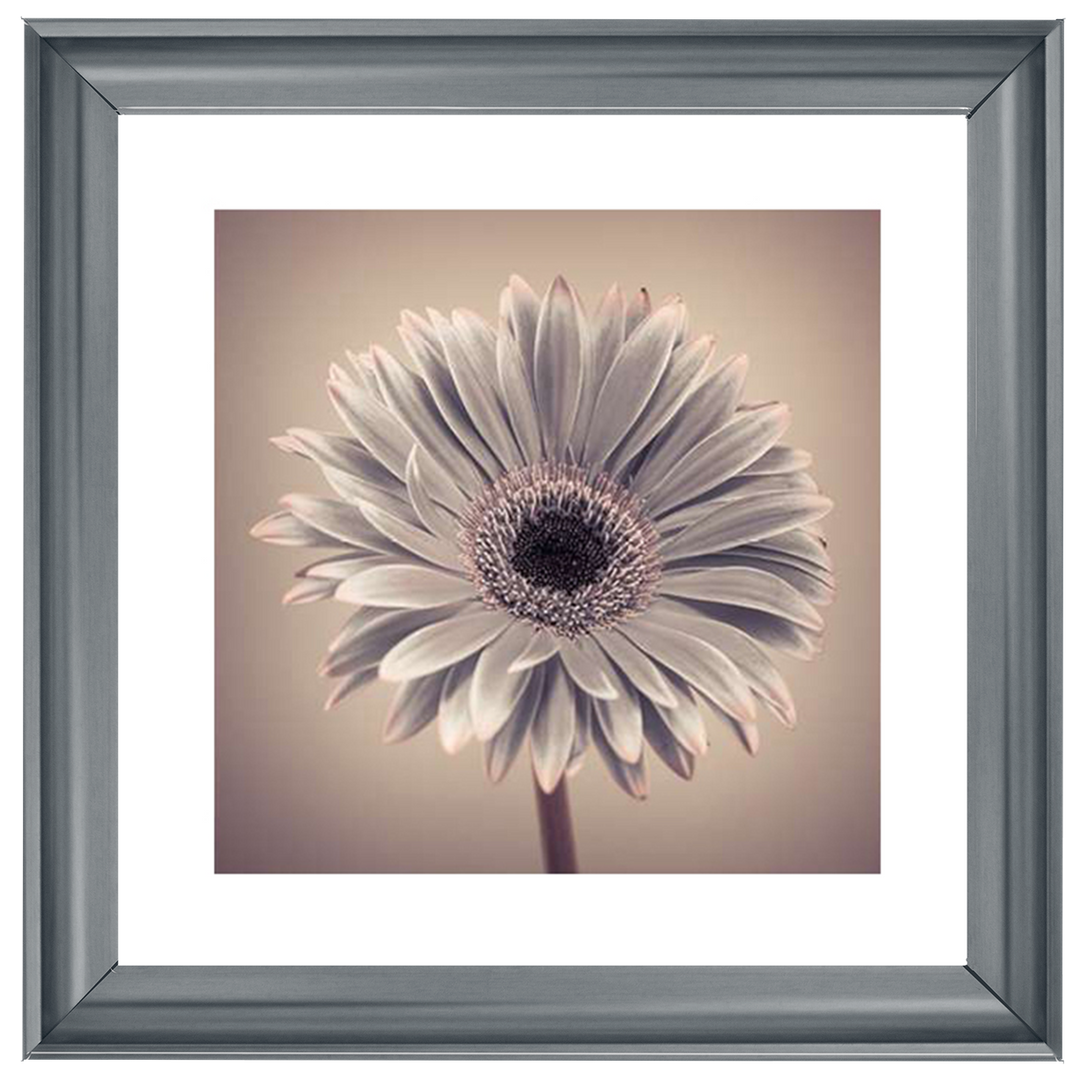 FL013 Pink Gerbera 1