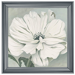 White poppy