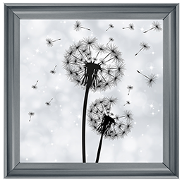 FL010 Dandelion pair