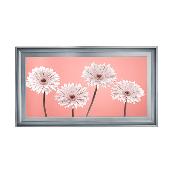 Four Gerberas Nude/White