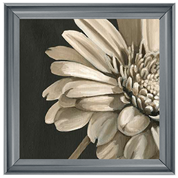 FL038 Classical Blooms IV