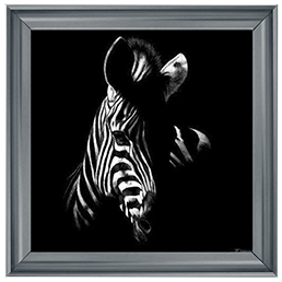 Wildlife Scratchboards V