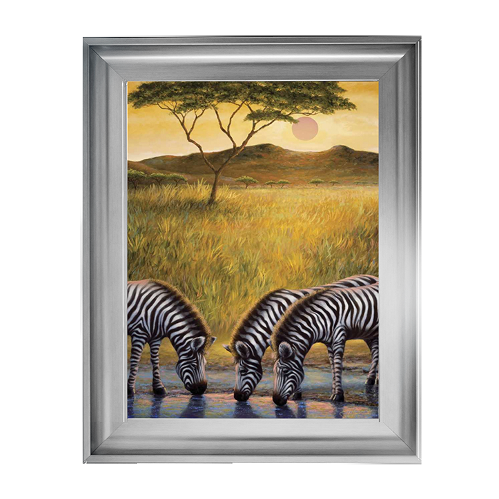 AN039 Zebra Respite