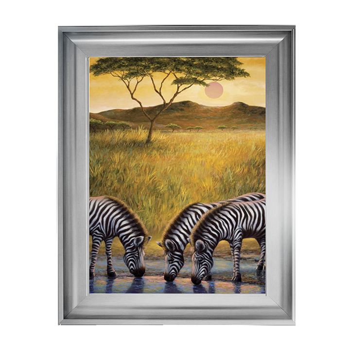 AN039 Zebra Respite