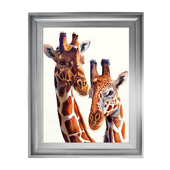 Safari Giraffes