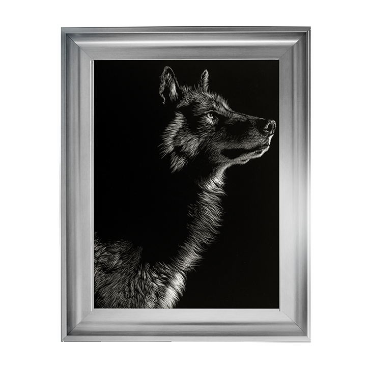 Scratchboard Wolf II