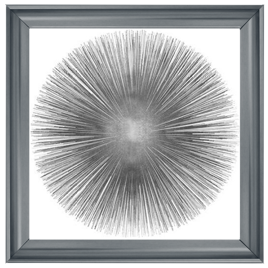 MD002 (AY112556) Silver Sunburst 1