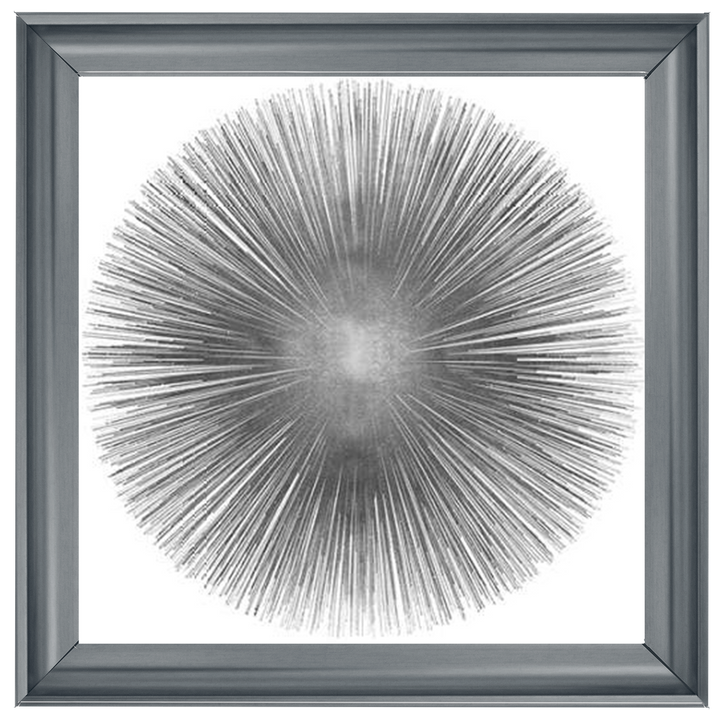 MD002 (AY112556) Silver Sunburst 1