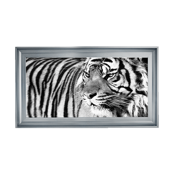 Tiger Eyes