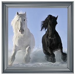 Salt And Pepper