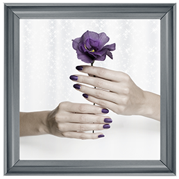 Purple Rose