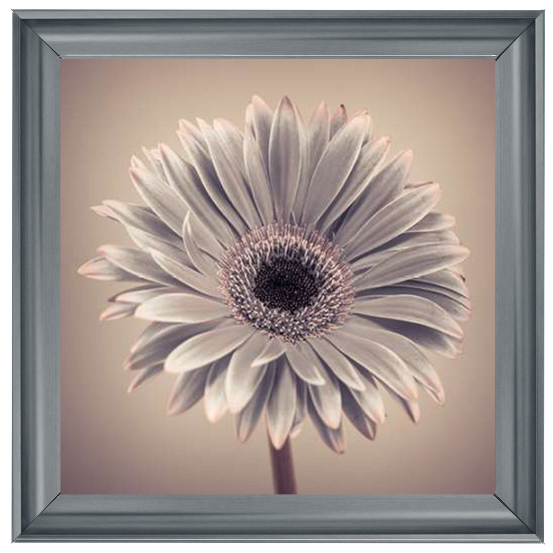 FL013 Pink Gerbera 1