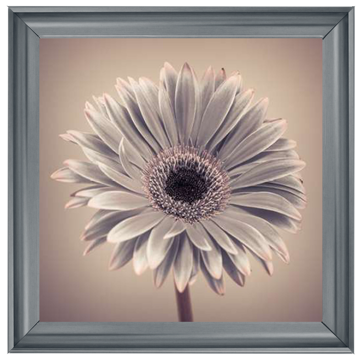 FL013 Pink Gerbera 1