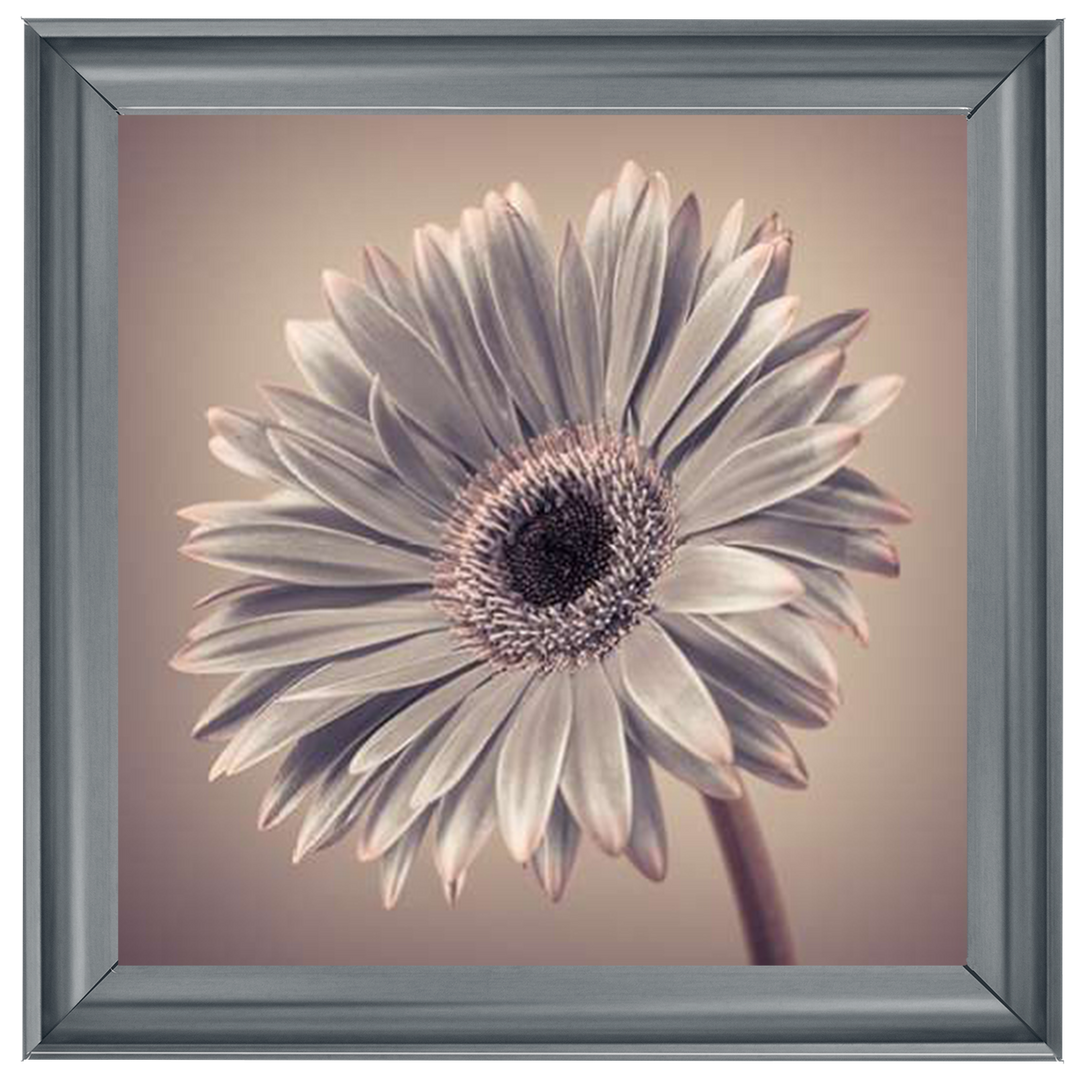 FL014 Pink Gerbera 2