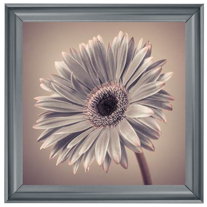 FL014 Pink Gerbera 2