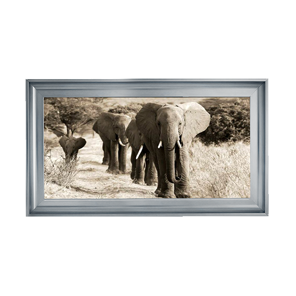 Herd of African Elephants- Kenya