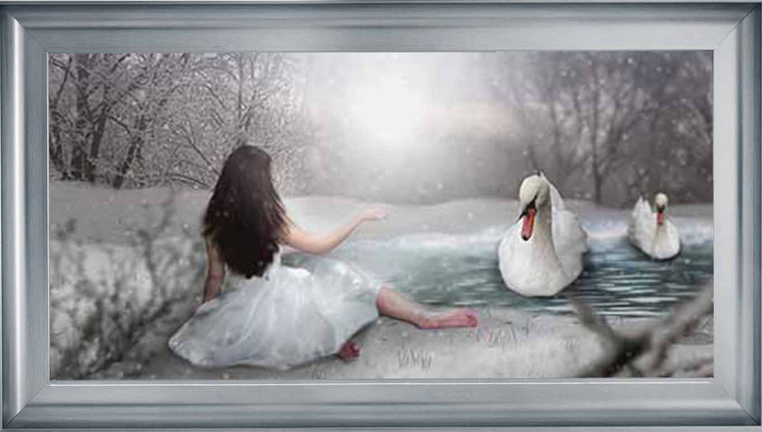 FG746 Swan & woman on lake