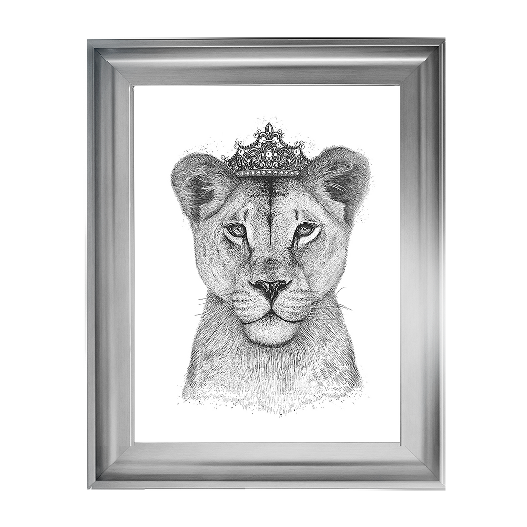Queen Lioness