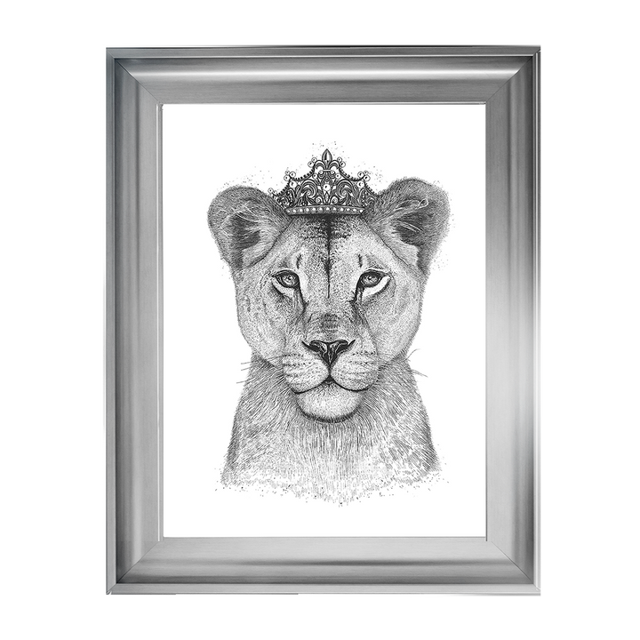 Queen Lioness