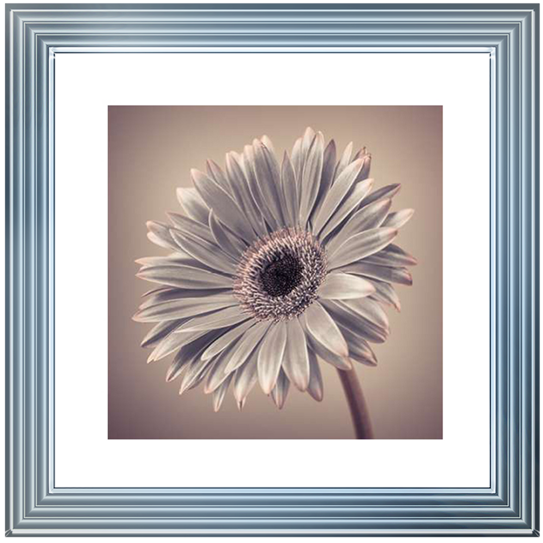 FL014 Pink Gerbera 2