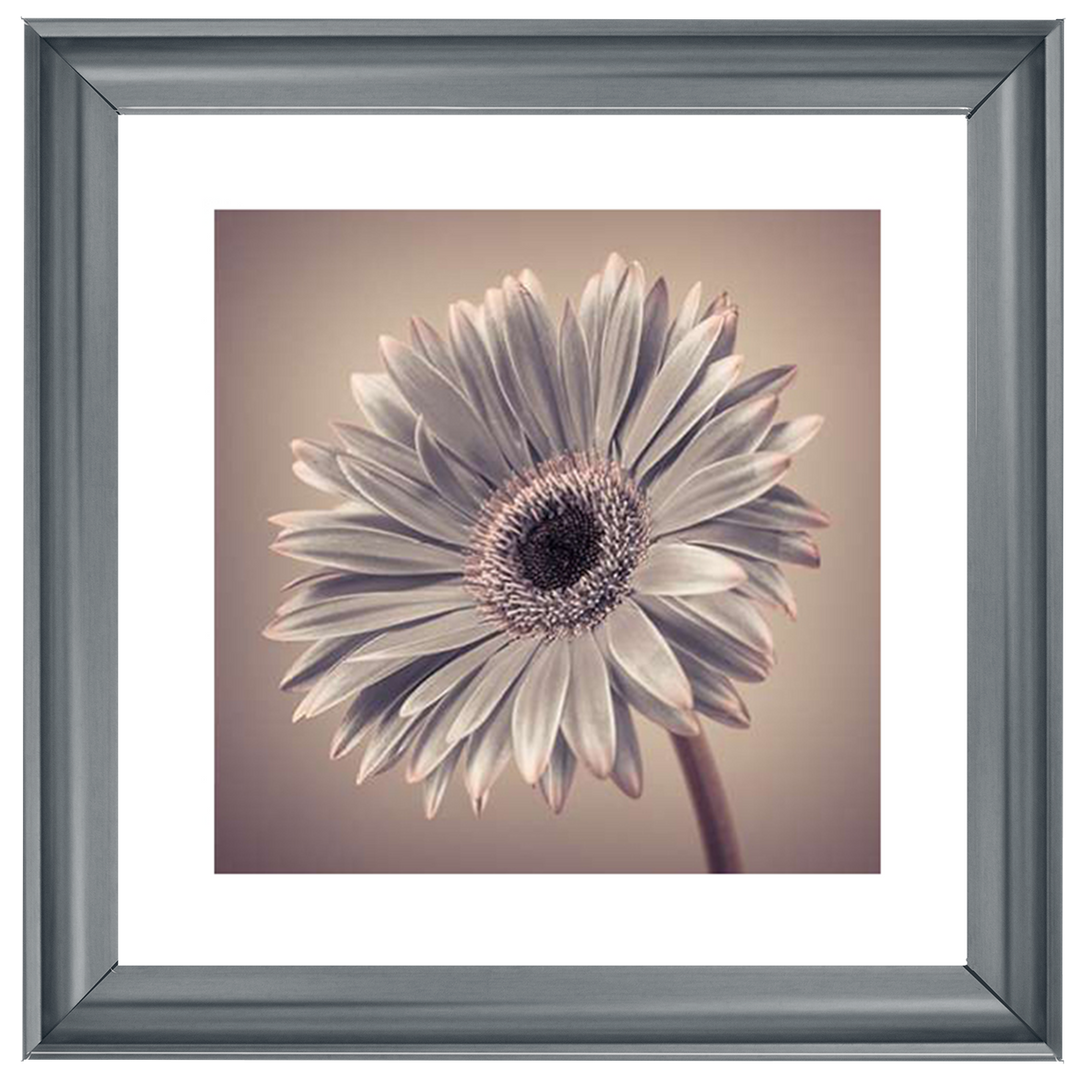 FL014 Pink Gerbera 2