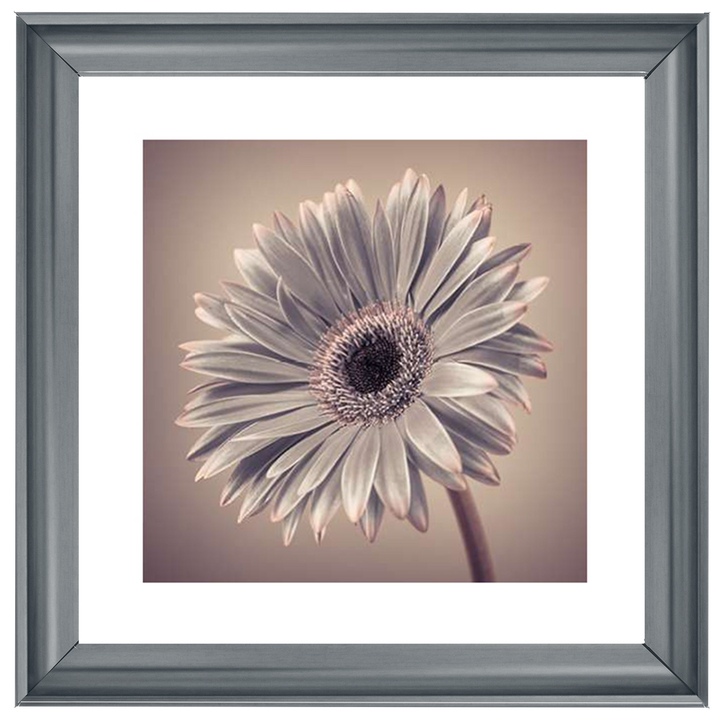 FL014 Pink Gerbera 2