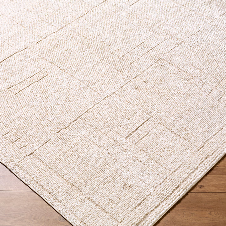Contemporary Alba Modern Graphic Rug