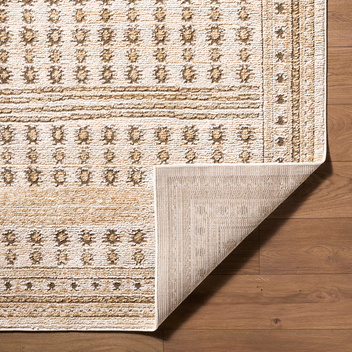 Contemporary Alba Global Graphic Rug