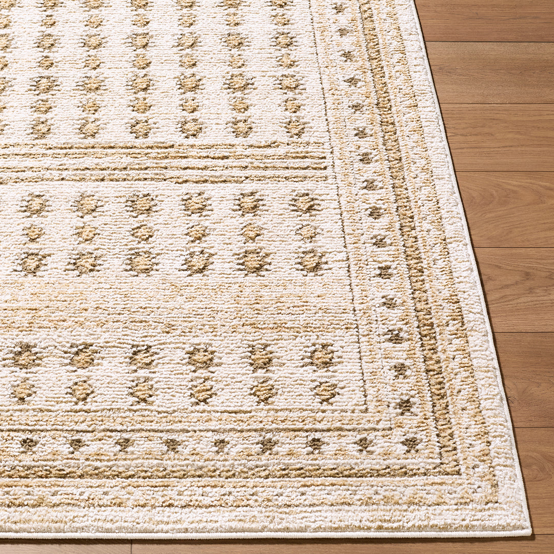 Luxury Alba Global Graphic Rug