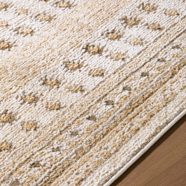 Luxury Alba Global Graphic Rug