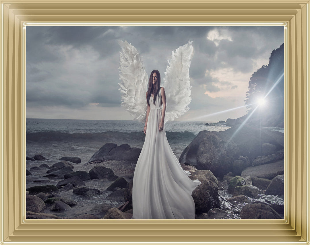 Eleanor Angel