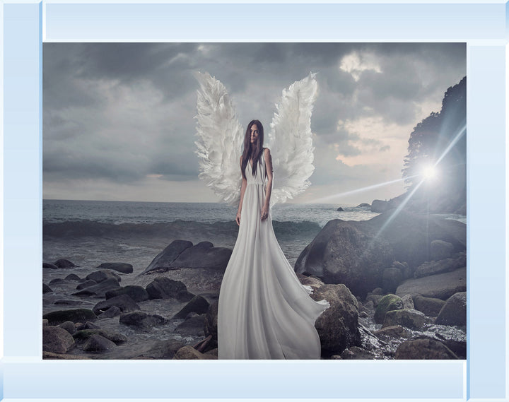 Eleanor Angel