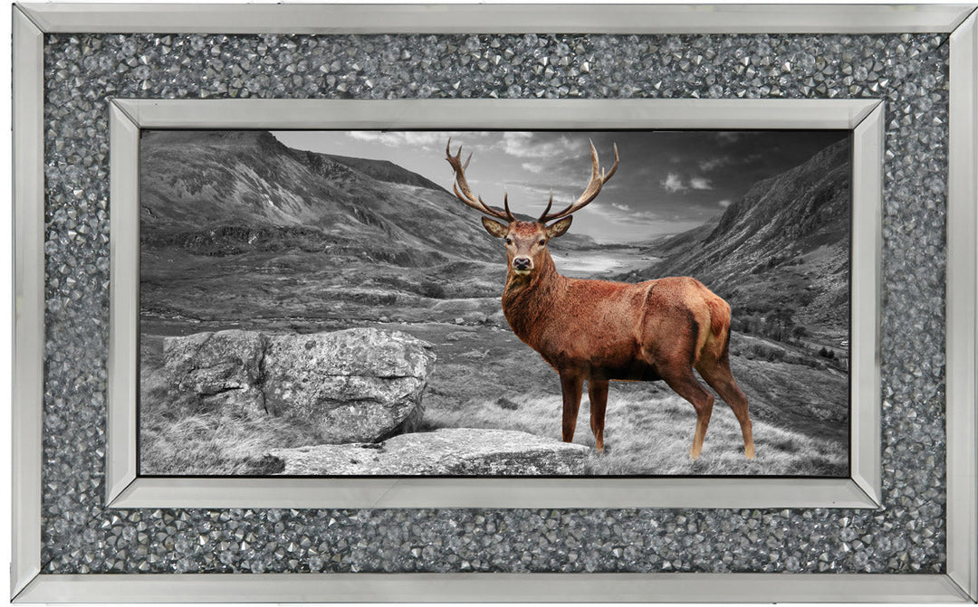 AN006 Stag in Highlands
